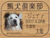 �W�F�C�p�p����̂a�k�n�f�ւf�n�I